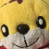 Nisesimadao